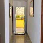 Dijana بريغراديكا