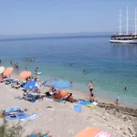 Dijana بريغراديكا
