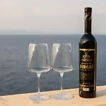 Dijana بريغراديكا
