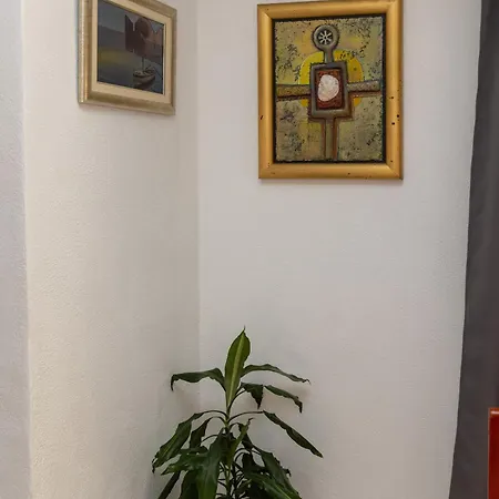 Dijana * Приградица