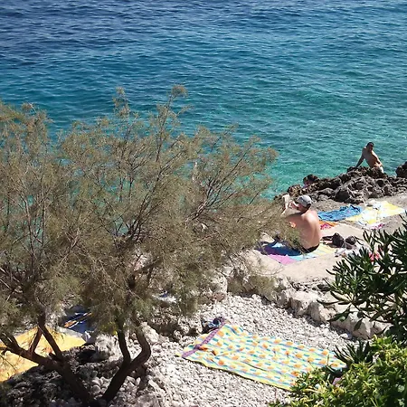 Dijana Apartment Prigradica